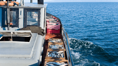 Fishing Vessels Image