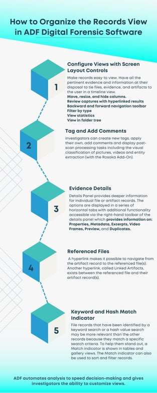 How to Organize the Records View in ADF Digital Forensic Software