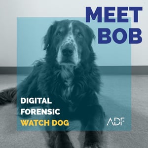 Meet Bob ADF Solutions Digital Forensic Watch Dog