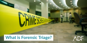 What is Forensic Triage?