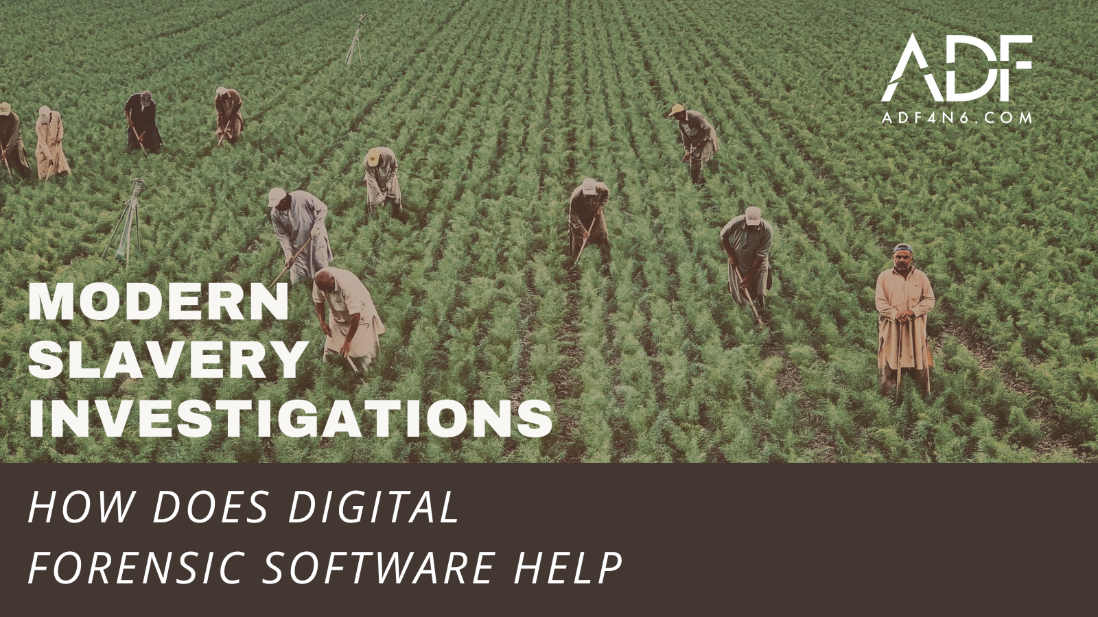 How does digital forensic software help modern slavery investigations?