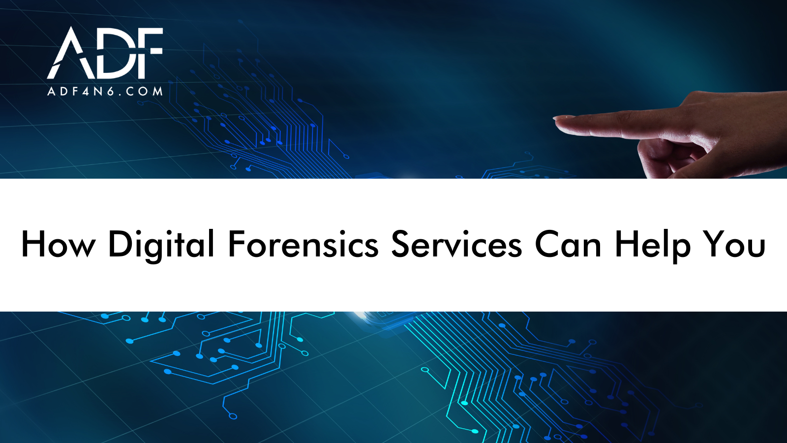 How Digital Forensics Services Can Help You