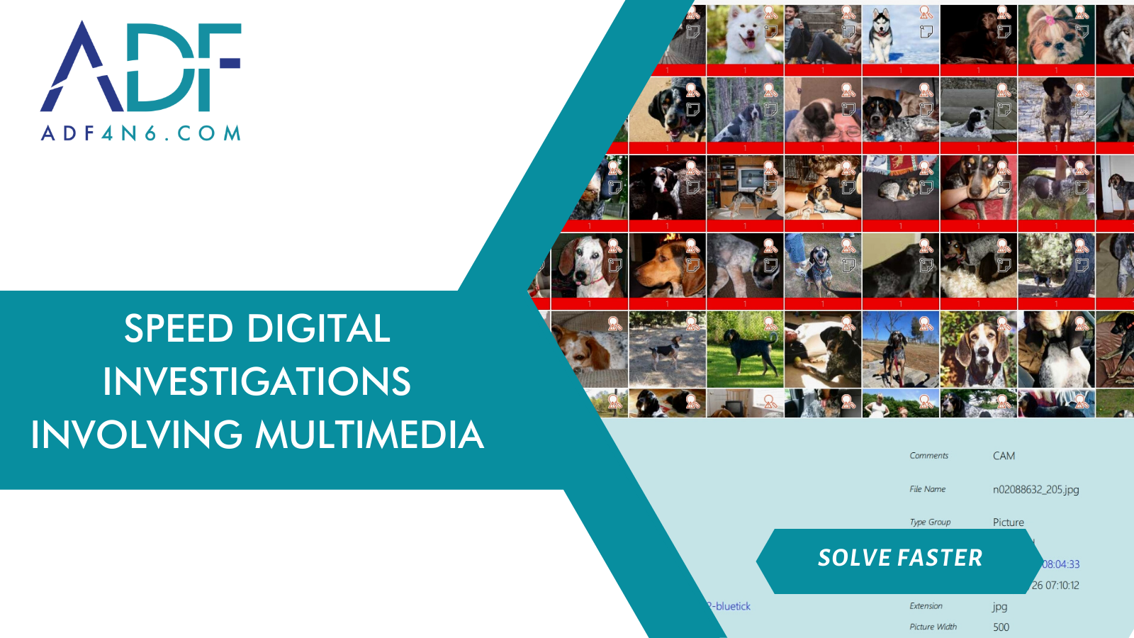 Speed Digital Investigations with Multimedia