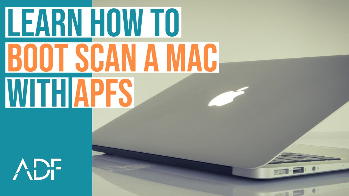 Digital Forensic Boot Scan a Mac with APFS