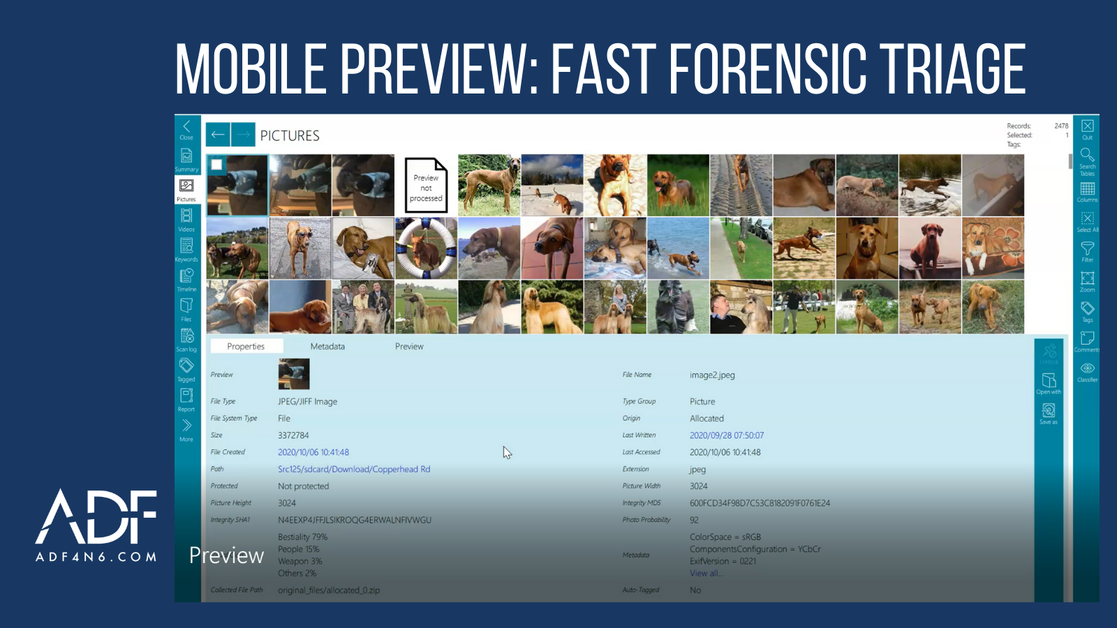 Mobile Preview_ Fast Forensic Triage-1
