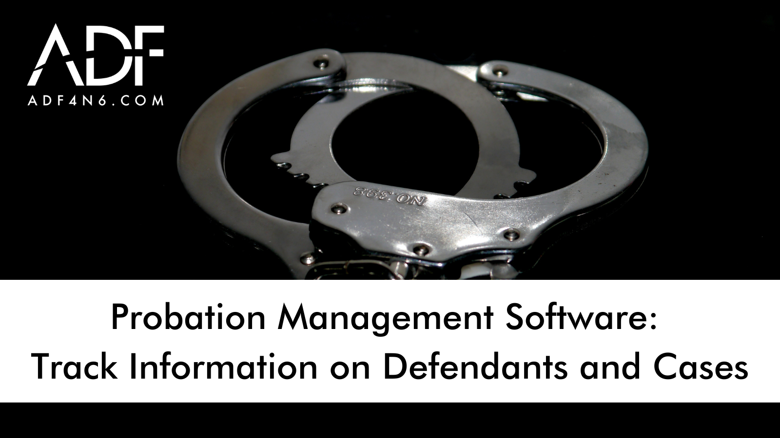 Probation Management Software: Track Information on Defendants & Cases