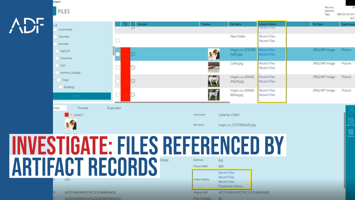 Investigate: Files Referenced by Artifact Records