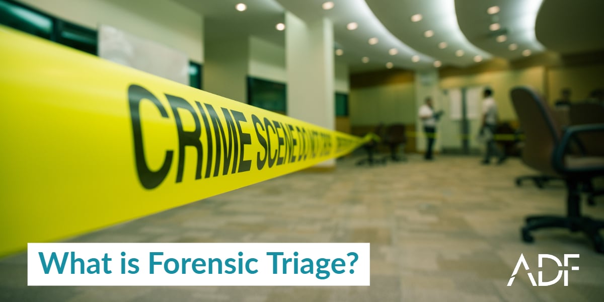 What is Forensic Triage?