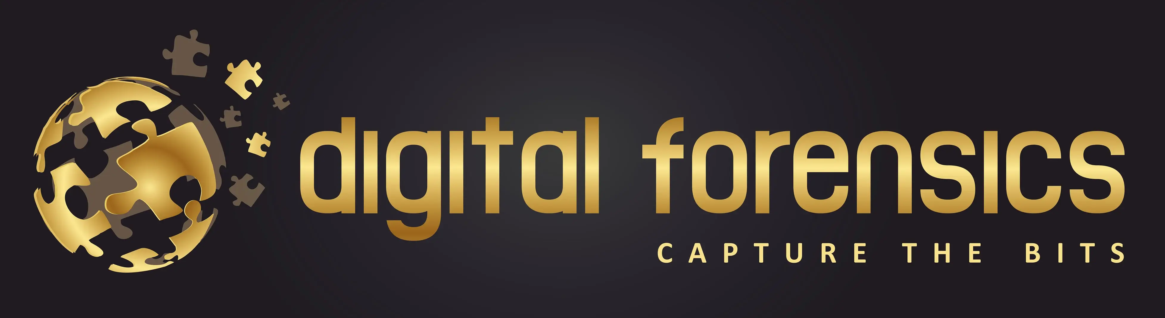 Digital Forensics Kft. (Hungary)